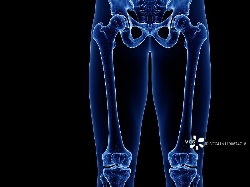 大腿骨骼插图图片素材