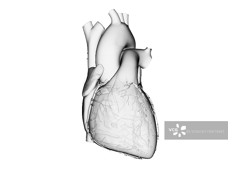 人类的心,说明图片素材