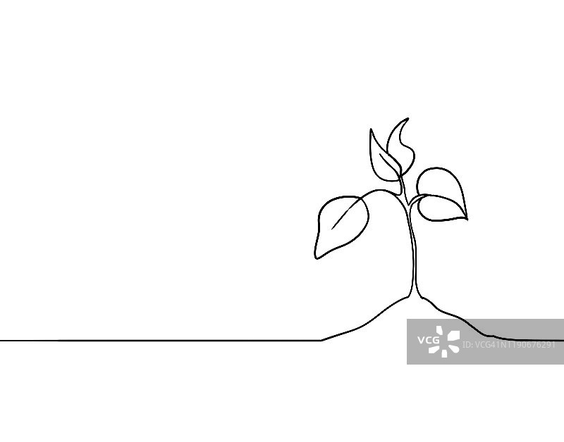 植物单线画图片素材