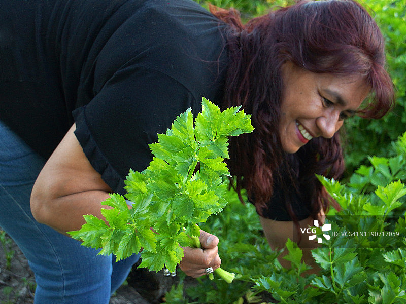在果园里工作图片素材