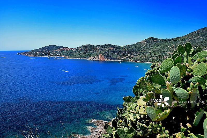 科西嘉岛卡尔热斯海港和山顶村庄图片素材