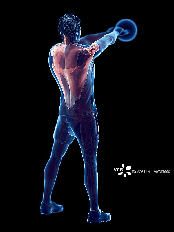 男人进行壶铃锻炼插画图片素材