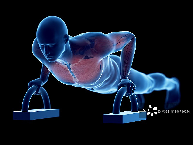 男人做俯卧撑，插图图片素材