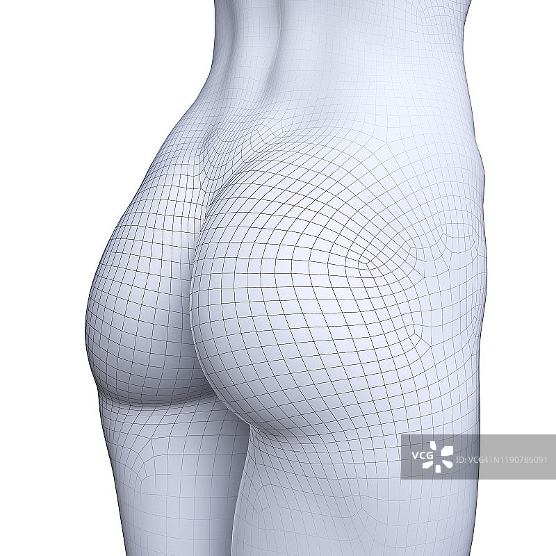 女性臀部，插图图片素材