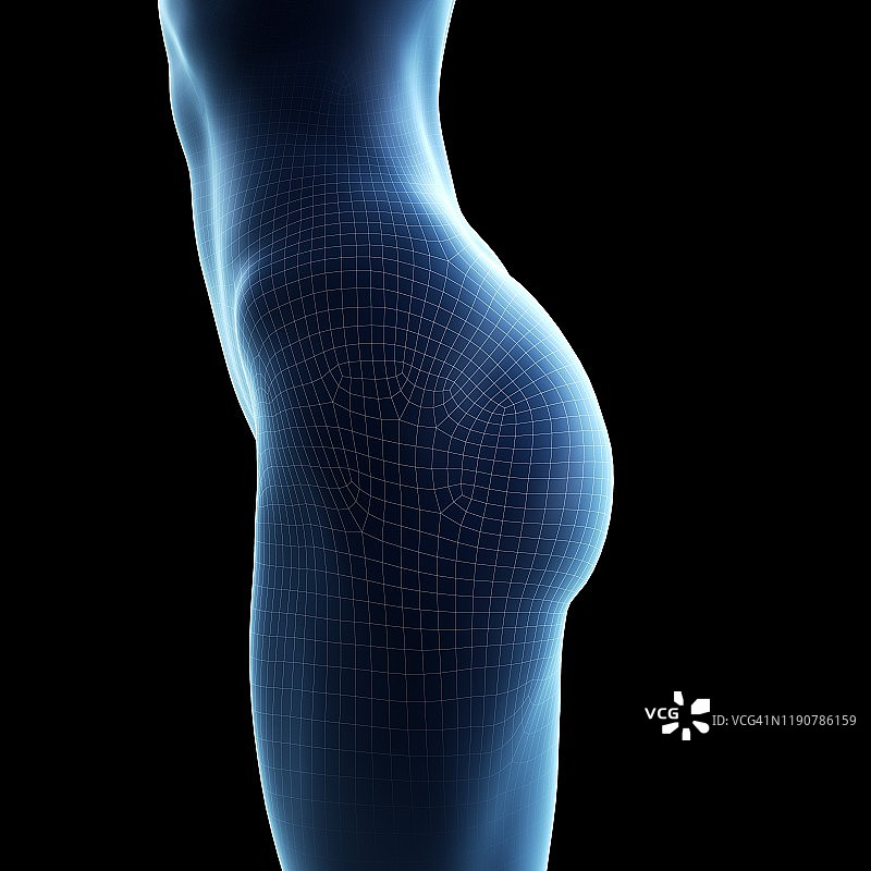 女性臀部，插图图片素材