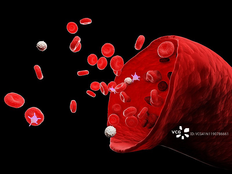 血管插图图片素材