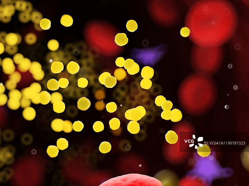 血管中的脂肪插图图片素材