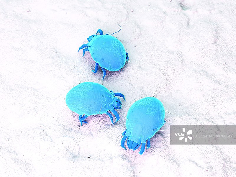 尘螨插画图片素材