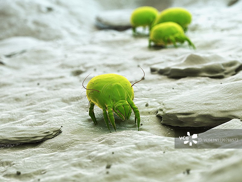 尘螨插画图片素材