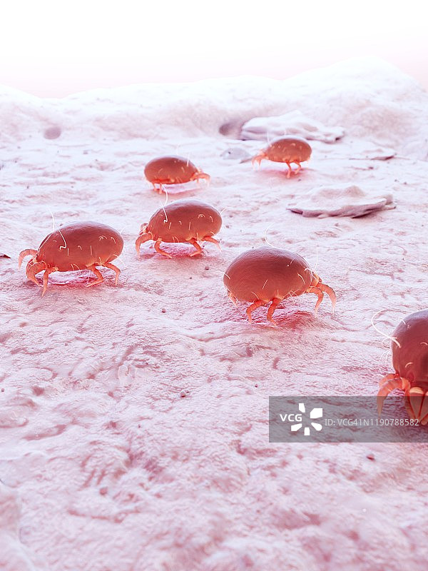 尘螨插画图片素材