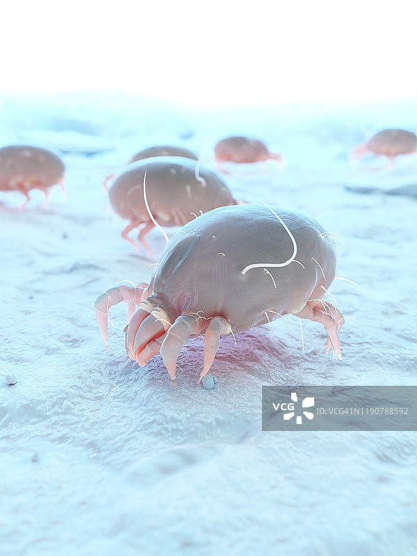 尘螨插画图片素材