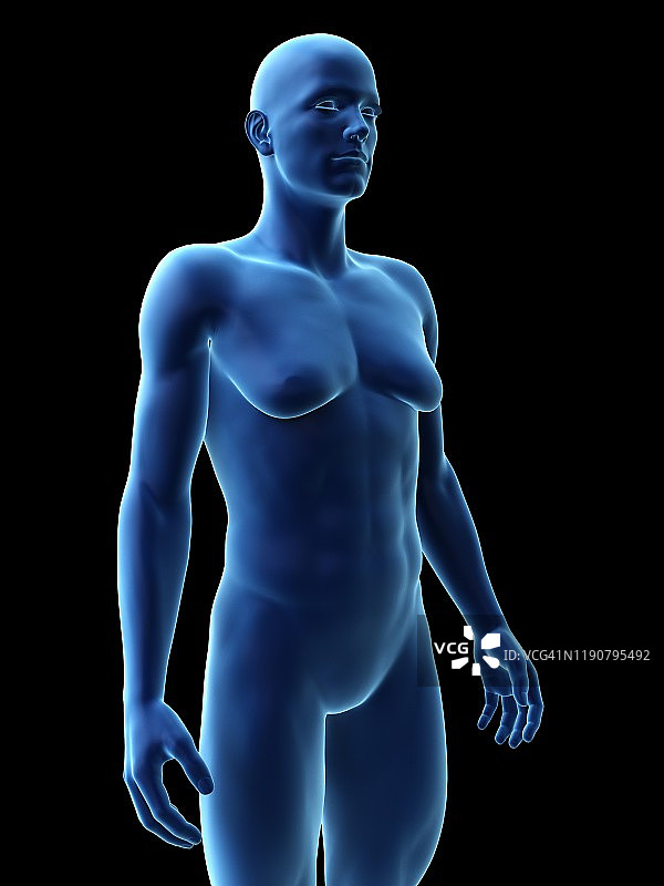 男子乳房发育症，图示图片素材