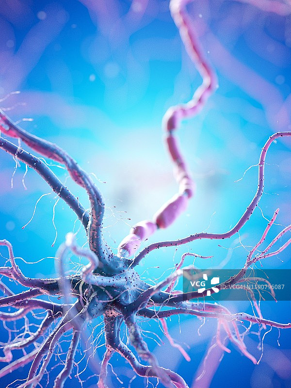 神经细胞、插图图片素材