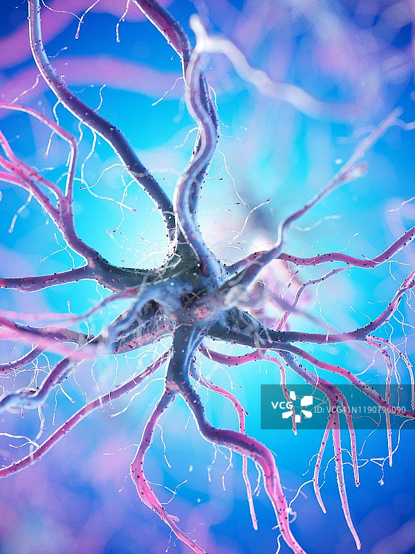 神经细胞、插图图片素材