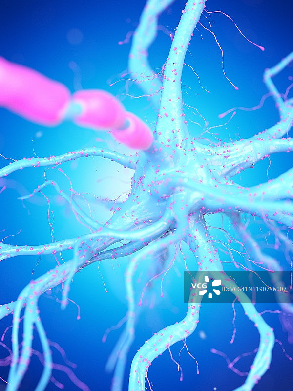 神经细胞、插图图片素材