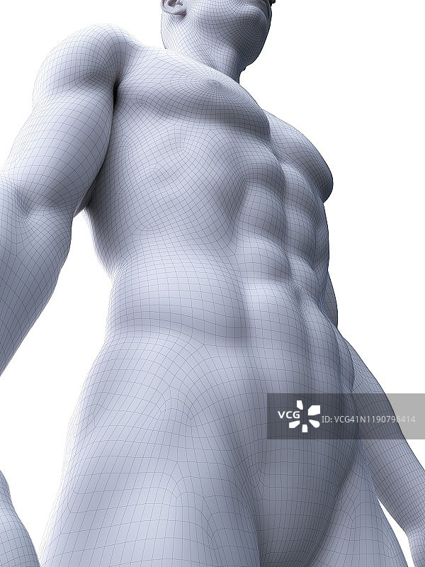 腹肌，图示图片素材