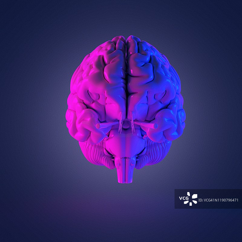 人类大脑、插图图片素材