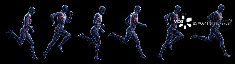 跑步者的心脏插画图片素材