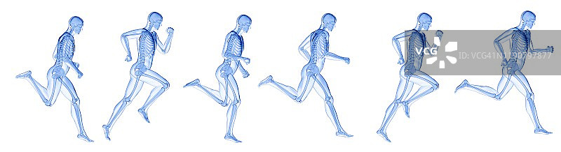 跑步者骨骼插画图片素材