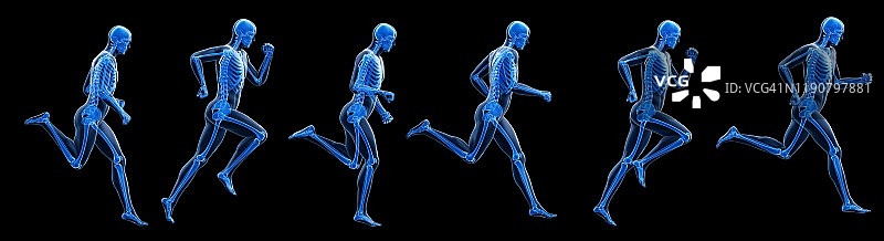 跑步者骨骼插画图片素材