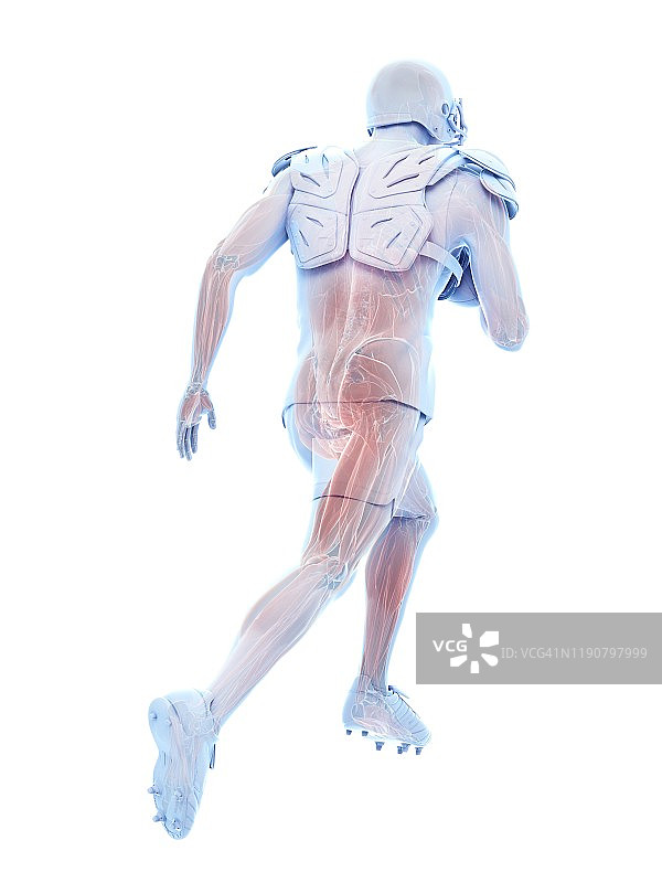 橄榄球运动员肌肉插画图片素材