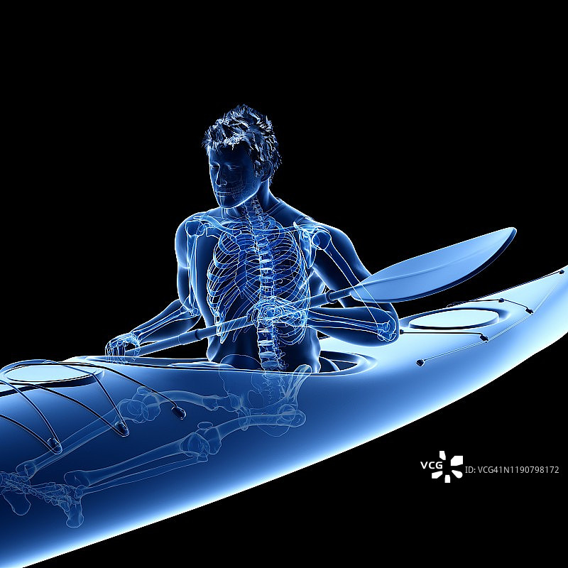 皮划艇运动员的骨骼插画图片素材