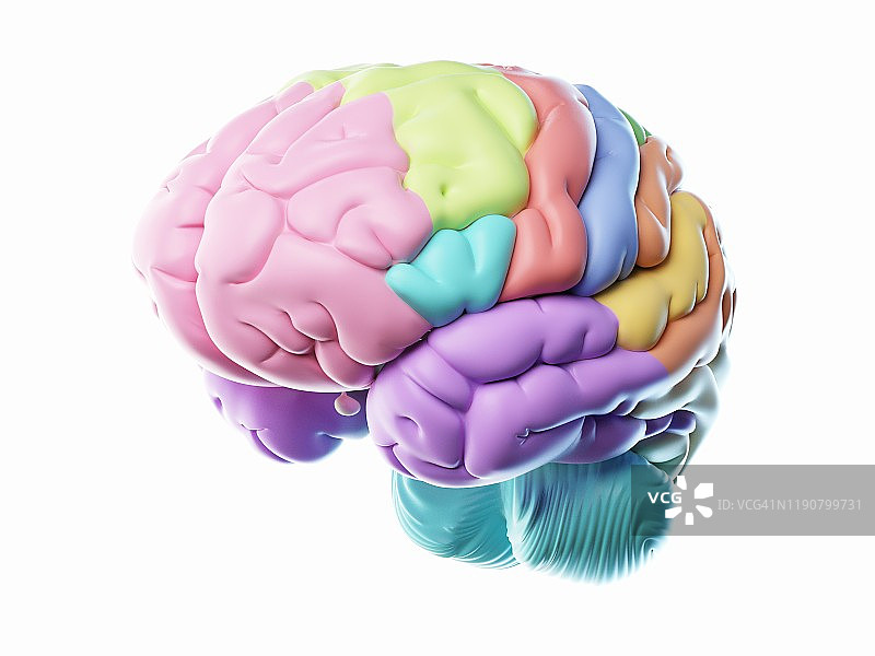 大脑图示图片素材