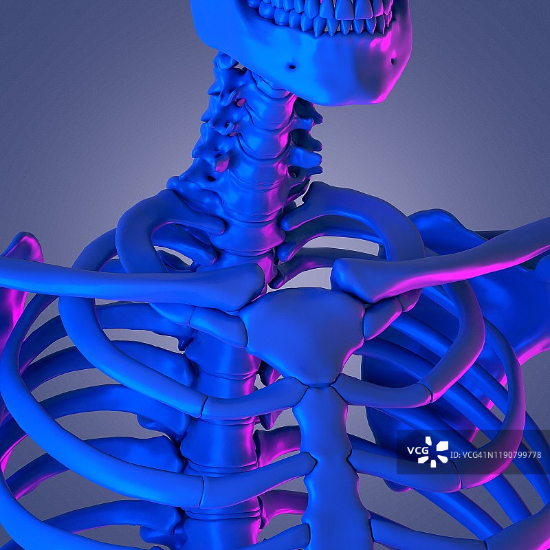 颈椎插画图片素材