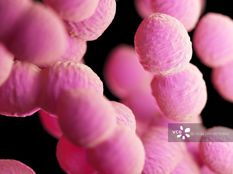 肠球菌细菌插图图片素材