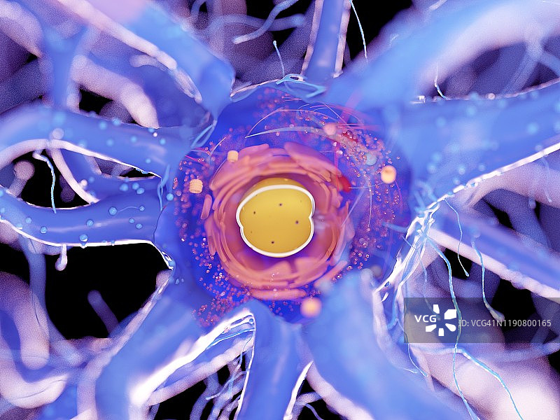 神经细胞、插图图片素材