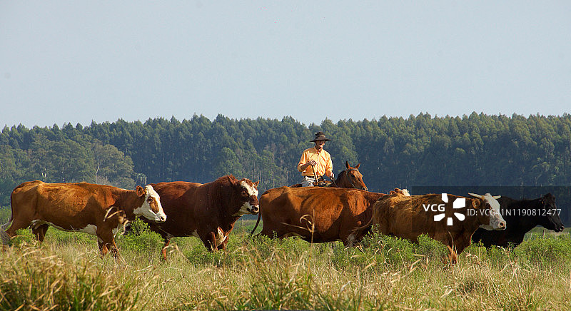 田间工作图片素材