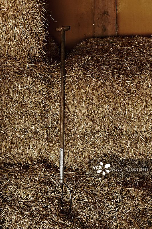 干草中的草叉图片素材