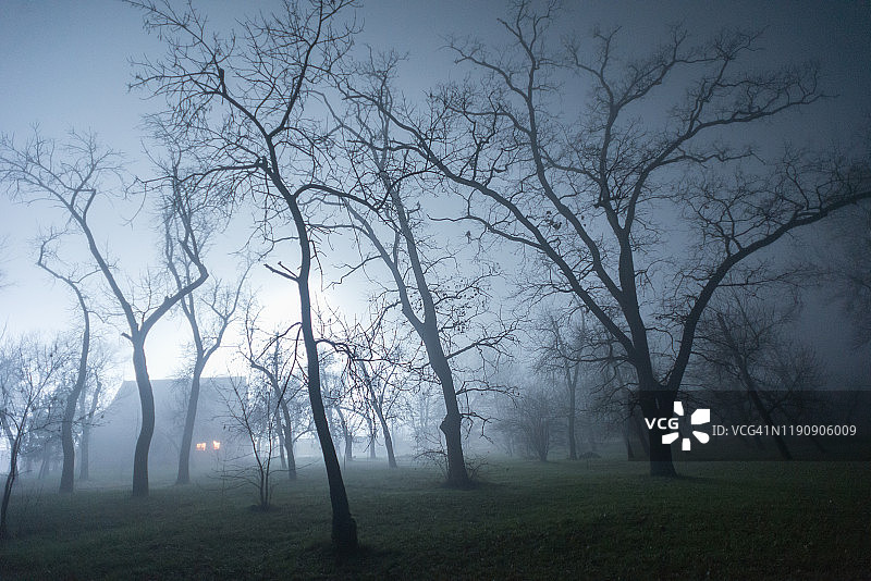 雾蒙蒙的冬夜阴森森林和房屋图片素材