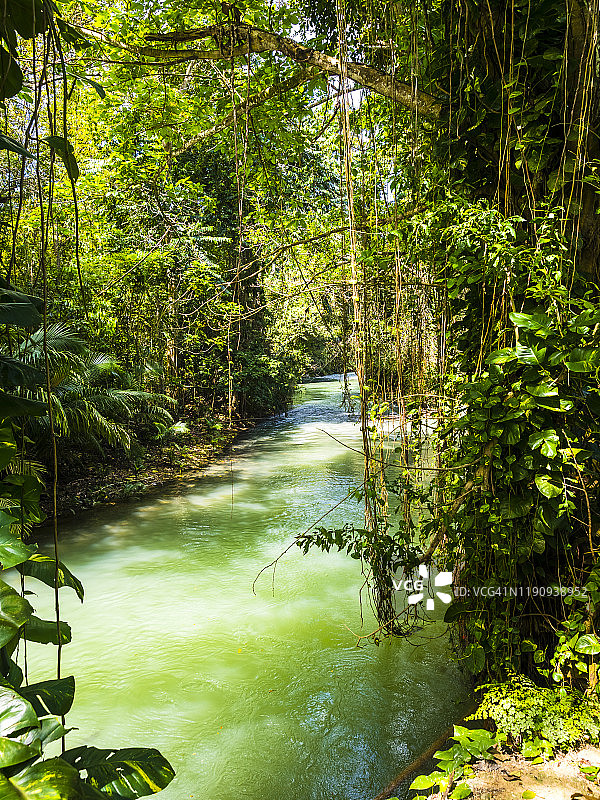 蒙特哥贝地区马萨布雷河风光图片素材