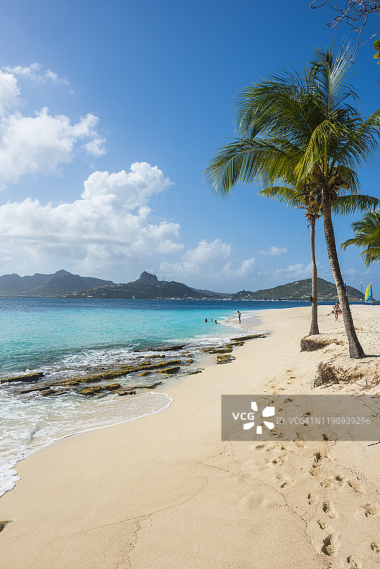 圣文森特和格林纳丁斯棕榈岛白色沙滩风光图片素材