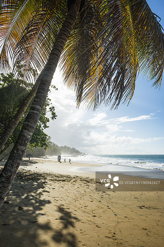 晴天时托巴哥石港湾的壮丽海景，特立尼达和多巴哥，加勒比海图片素材