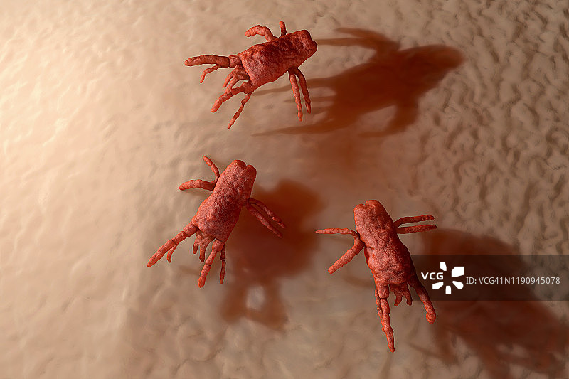 皮肤上的螨虫群可视化图片素材