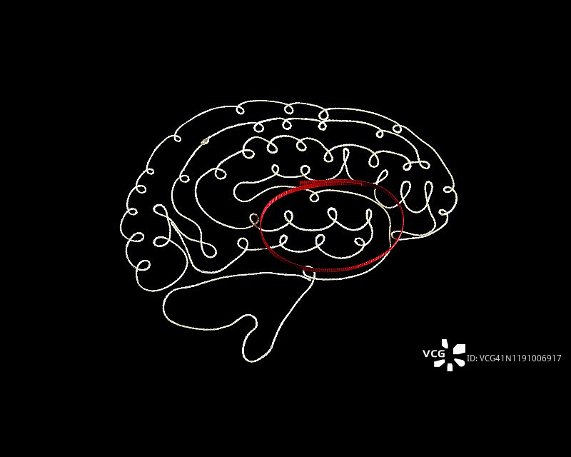 大脑CBGTC环路概念图图片素材