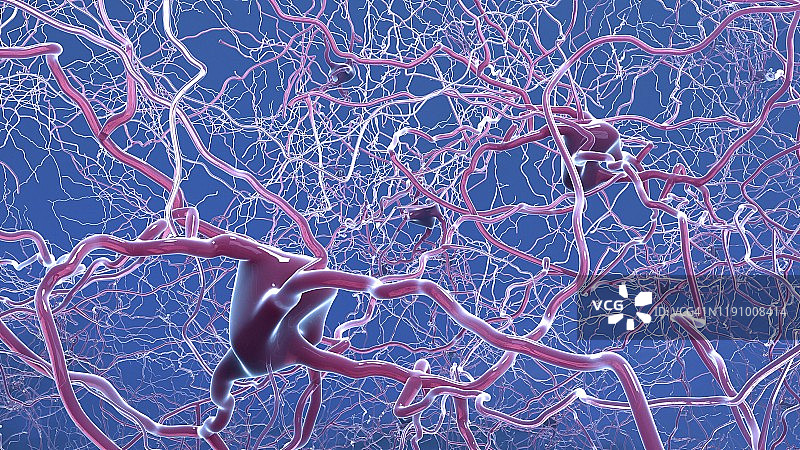神经细胞插图图片素材