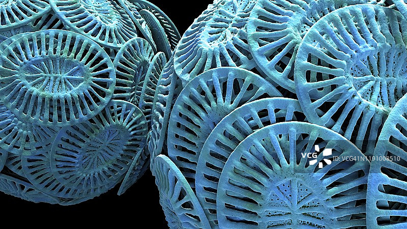 球石藻插图图片素材