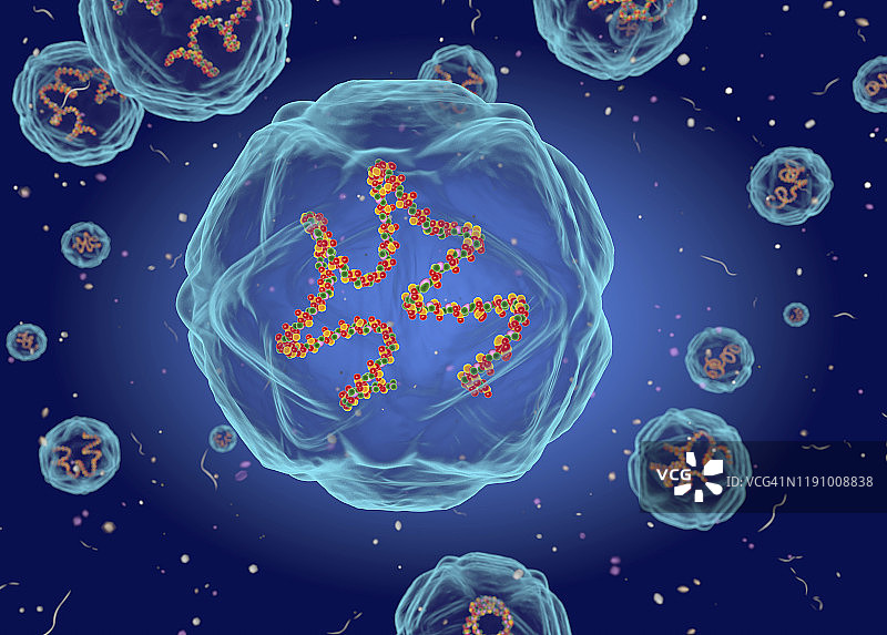 柯萨奇病毒结构图图片素材