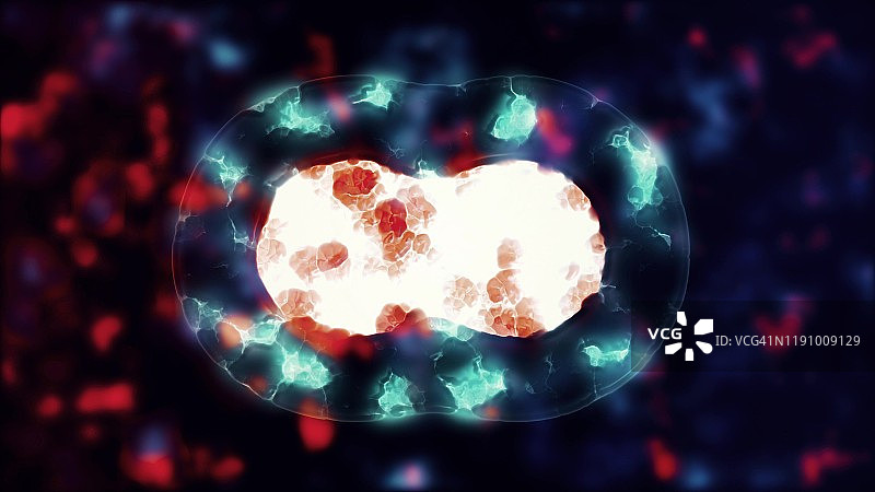 细胞分裂概念插图图片素材