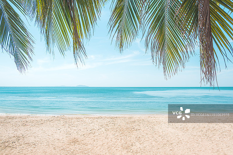 阳光明媚的热带棕榈海滩图片素材