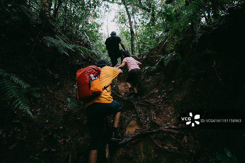 在森林中徒步旅行的家庭背影，日本冲绳县西表岛图片素材