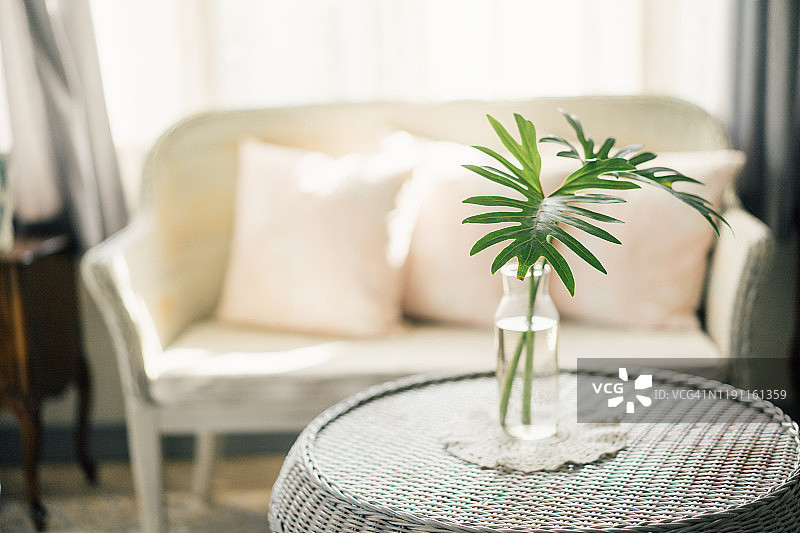 用于装饰的绿色叶子与玻璃花瓶图片素材