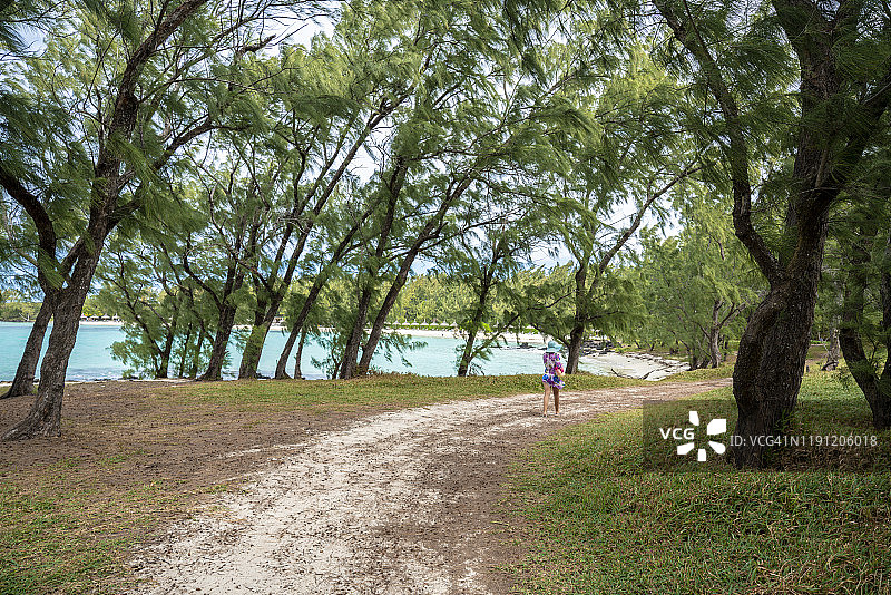 在毛里求斯热带松树林中散步的美丽女人图片素材