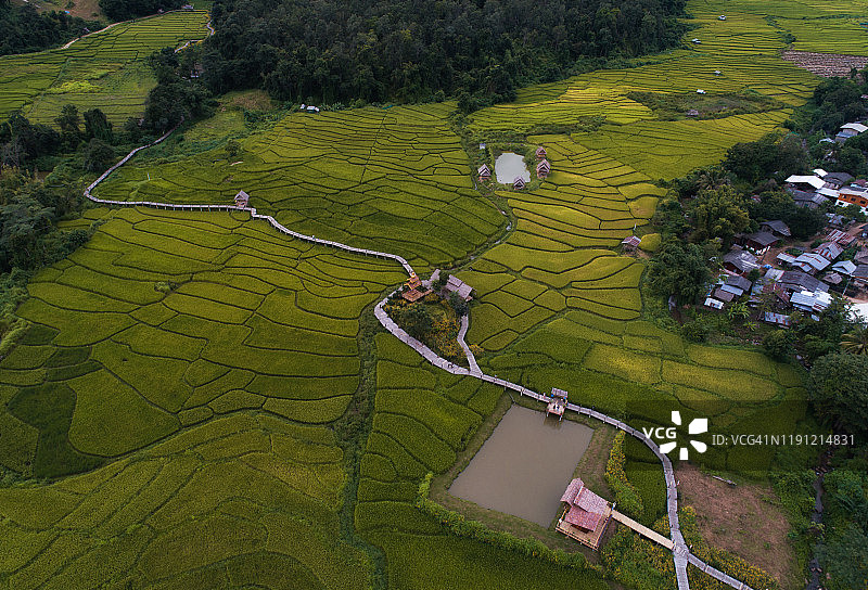 泰国拜县湄宏顺府的竹桥绿色稻田美丽航拍景色图片素材