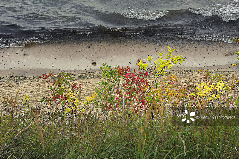 海岸线图片素材