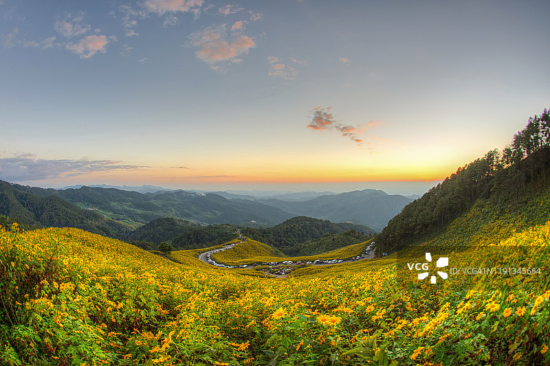 泰国夜丰颂府的荷花田图片素材