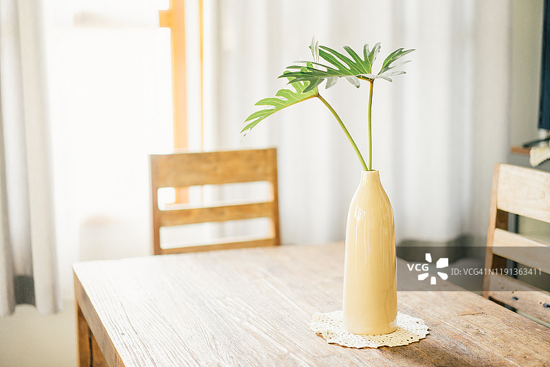 用于装饰的绿色叶子与玻璃花瓶图片素材